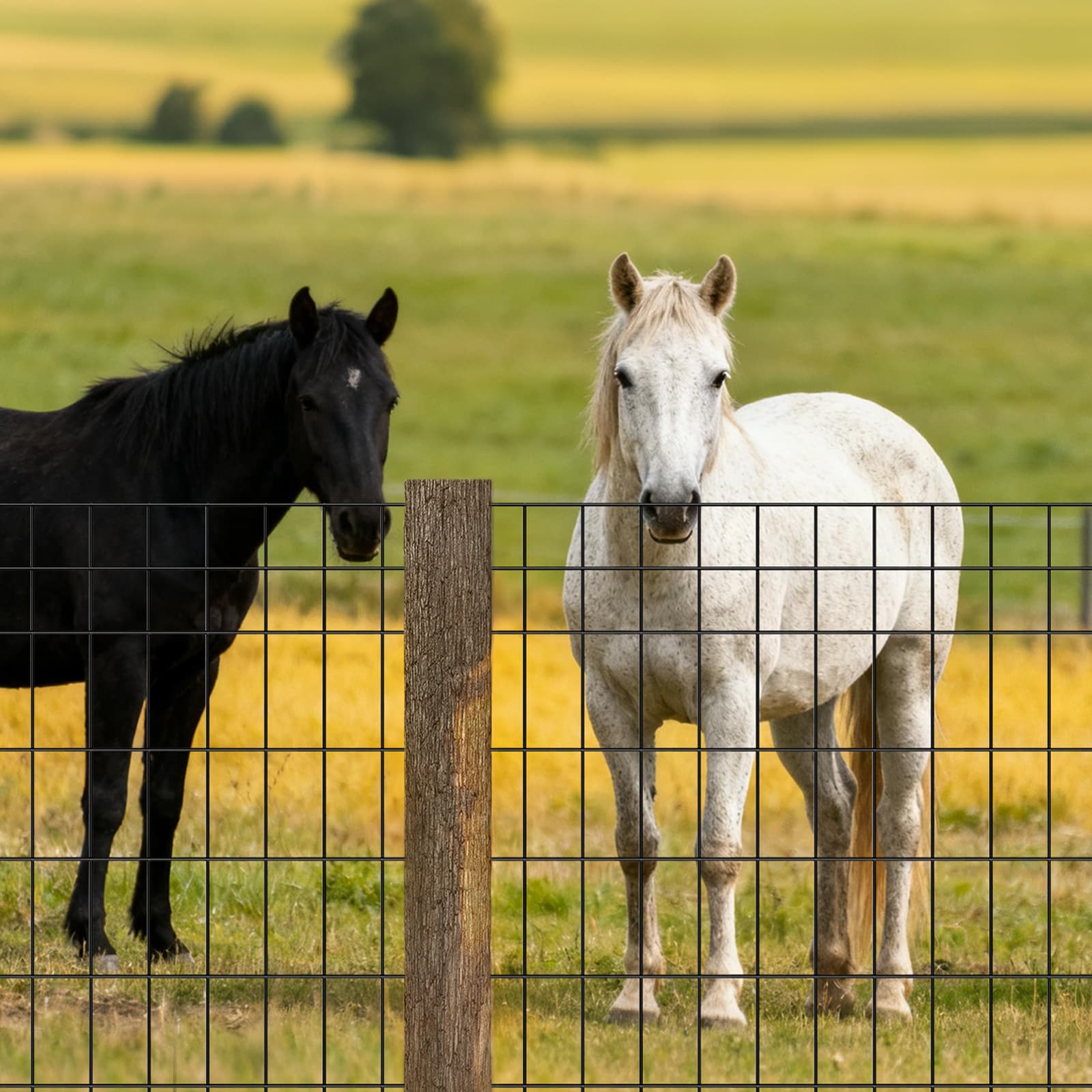 Farm Fence, 48 In X 50 Ft, 2 X 4 In Mesh 14 Gauge Galvanized Steel Wire Fencing For Cattle, Hog & Sheep , Heavy Duty Vinyl Coated Livestock Fence For Animal Enclosures, Cage Wire, Garden Fences_maomaolike.com